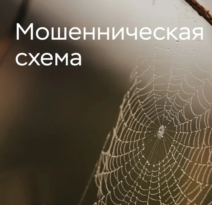 IMG_20261002_115049_628.png