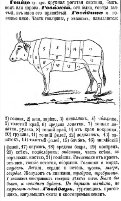 scale_1200 (1)